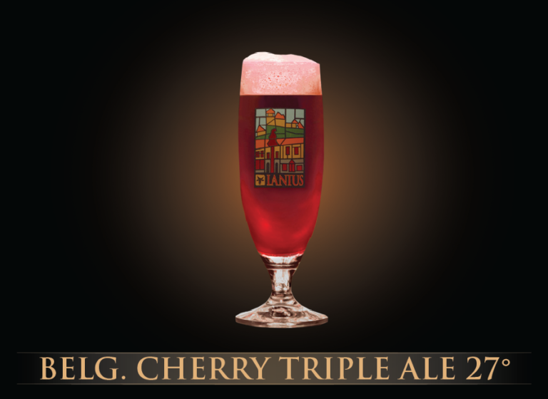 Belg.Cherry Triple Ale 27°