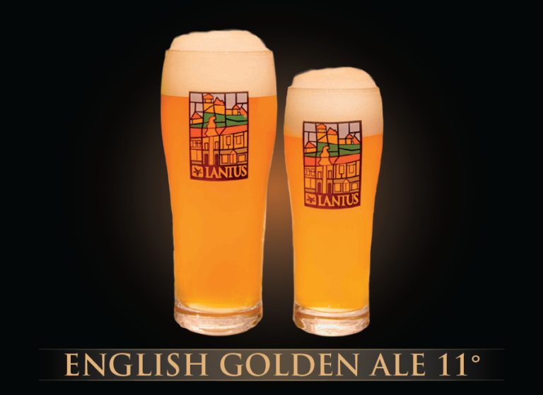 English Golden Ale 11°