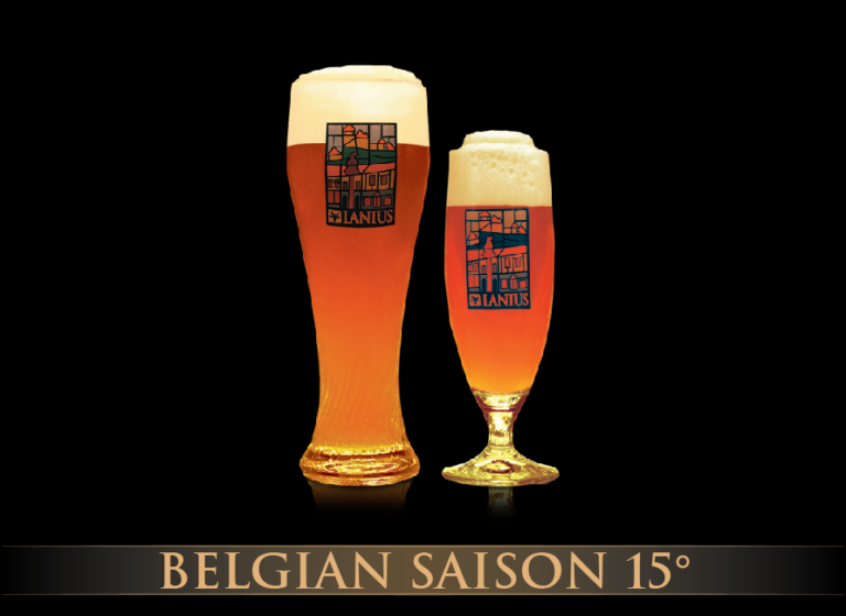 Belgian Saison 15°