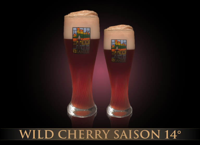 Wild Cherry Saison 11°