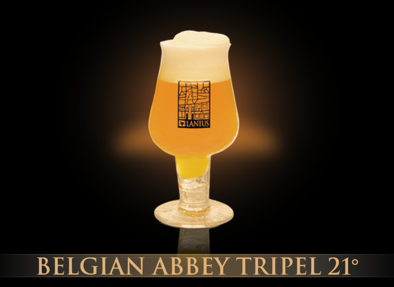 Belgian Abbey Trippel 21°