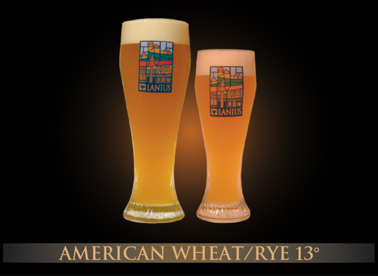 American Wheat/Rye 13°