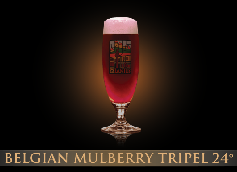 Belg.Mulberry Tripel 24 °