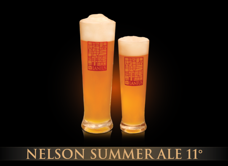 Nelson Summer Ale 11°
