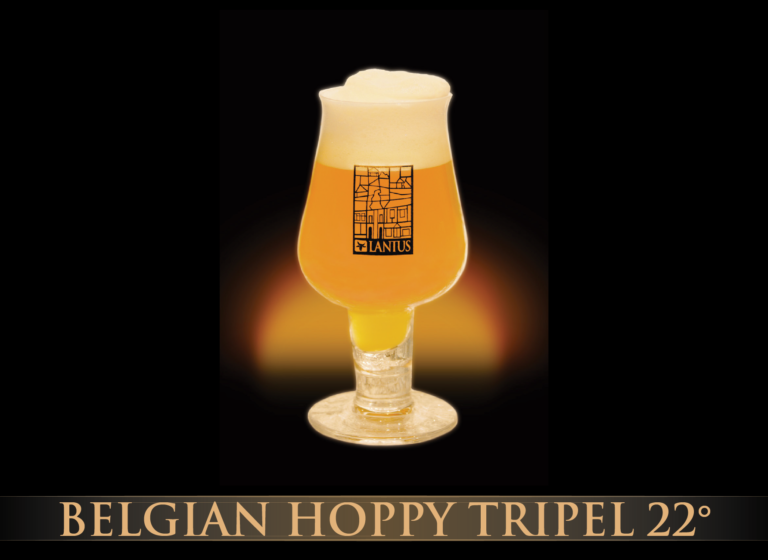 Belgian Hoppy Tripel 22°