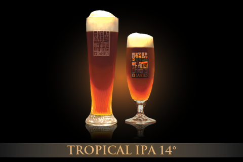 Tropical IPA 14°