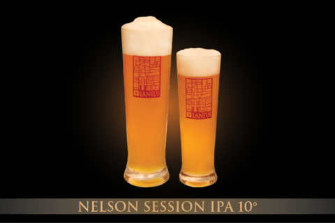 Nelson Session IPA 10°