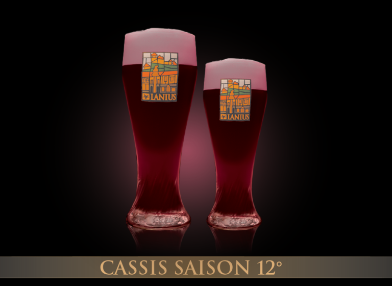 Cassis Saison 12°