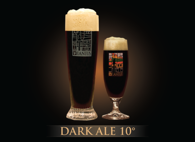 Dark Ale 10°