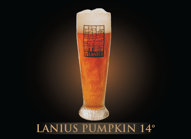 Lanius Pumpkin 14°