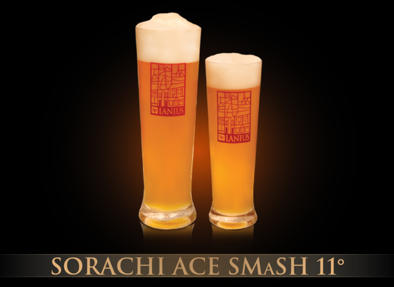 Sorachi Ace Smash 11°