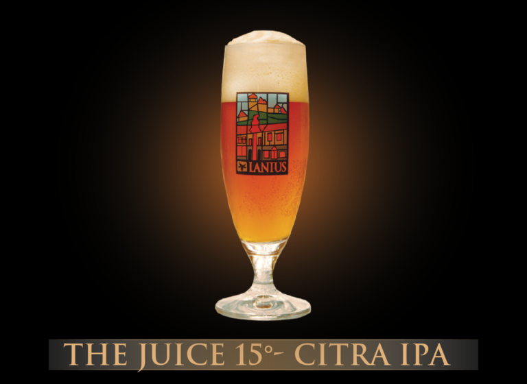 The Juice 15°-Citra IPA