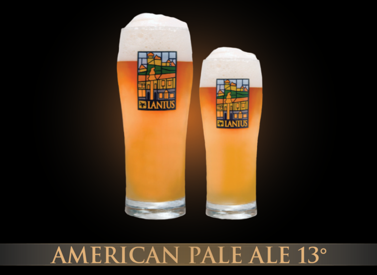 American Pale Ale 13°