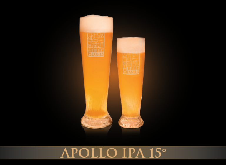 Apollo IPA 15°