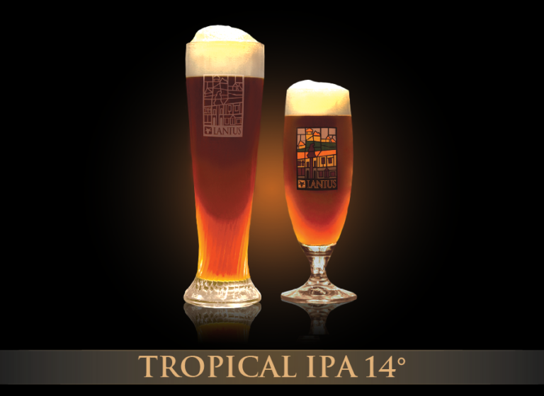 Tropical IPA 14°