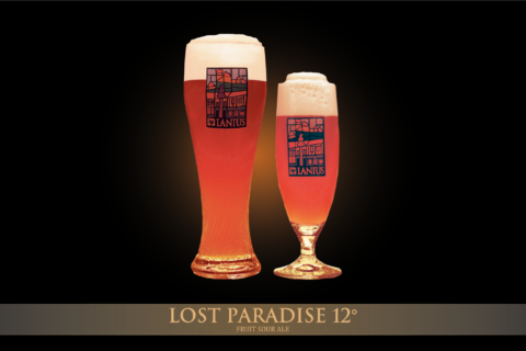 Lost Paradise 12°